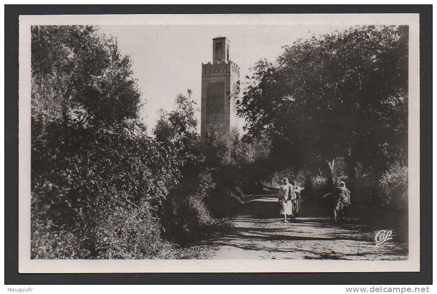 DD / ALGERIE / TLEMCEN / MINARET D' AGADIR XIIIe SIECLE