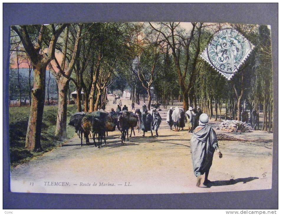 CPA Tlemcen (Algérie) - Route de Marina