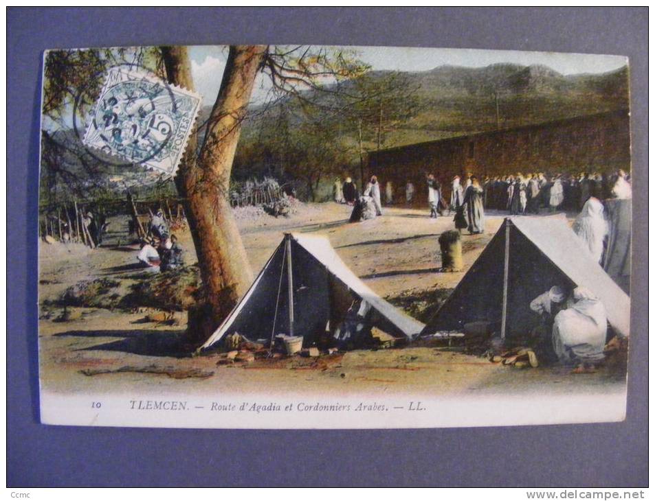 CPA Tlemcen (Algérie) - Route d'Agadia et Cordonniers Arabes