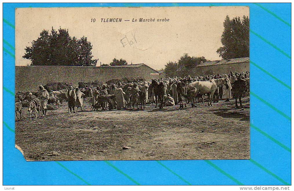 TLEMCEN - le marché arabe (état coin)