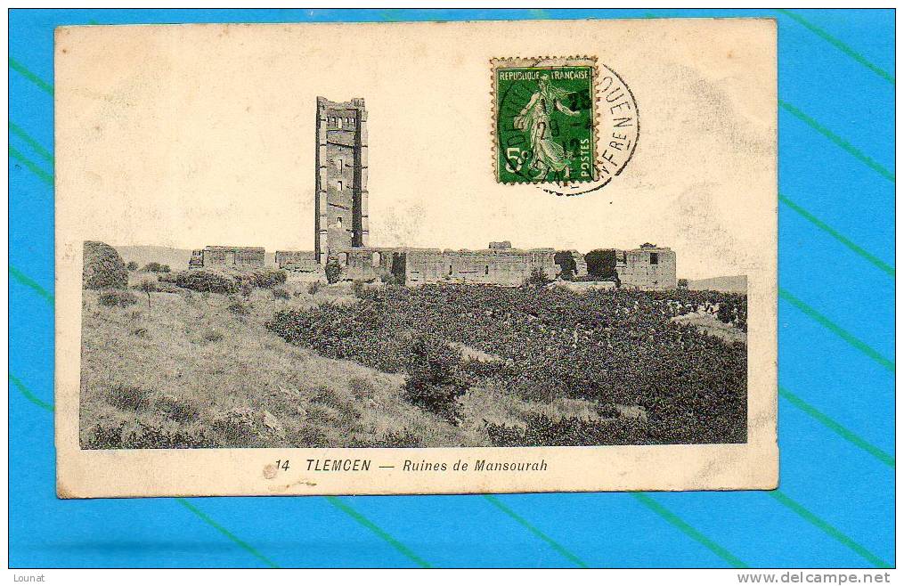 TLEMCEN - Ruines de mansourah