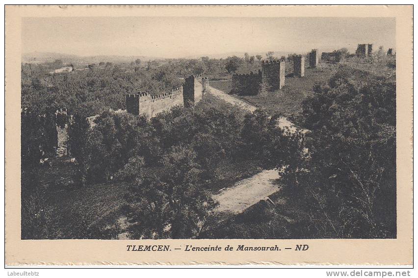 TLEMCEN - L'enceinte de Mansourah