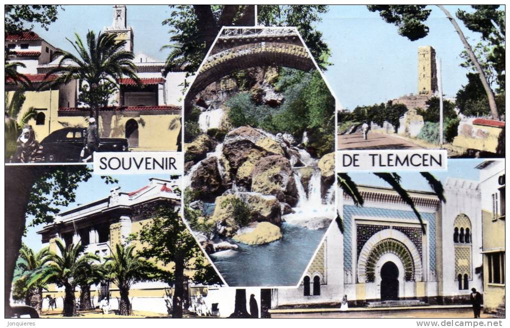 TLEMCEN Souvenir de TLEMCEN.