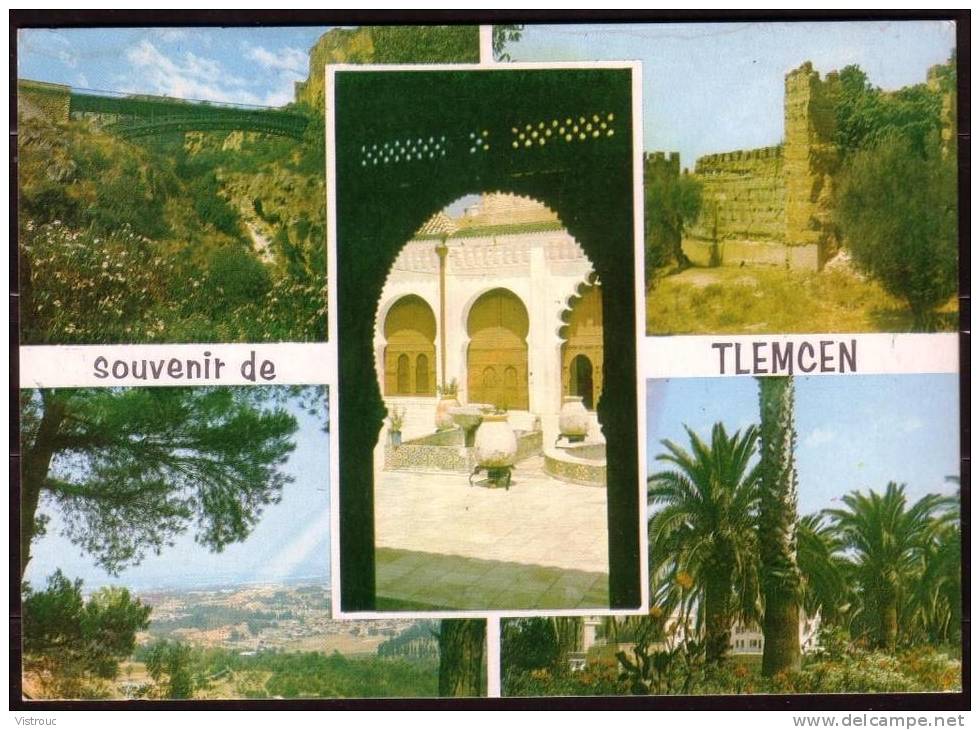 TLEMCEN - 5 vues diverses - Circulated under Cover  - Circulé sous enveloppe.