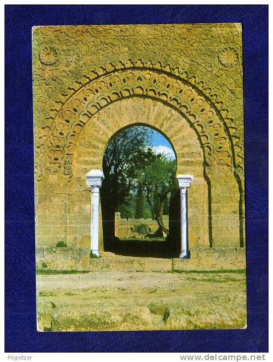 ALGERIE / ALGERIEN     Tlemcen Vestiges de Mansourah  Detail