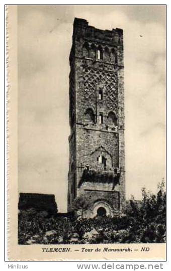 ALGERIE-TLEMCEM Tour de Mansourah.