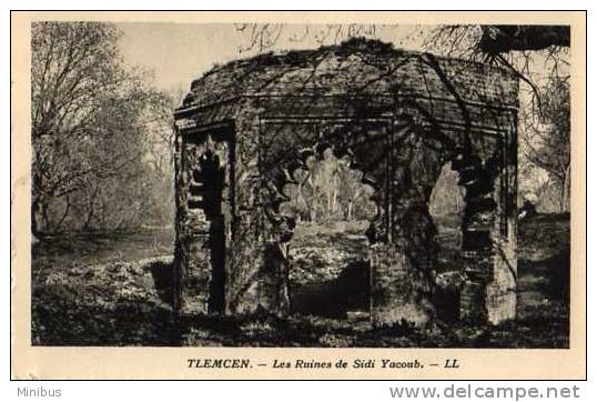 ALGERIE-TLEMCEM Les ruines de Sidi Yacoub.
