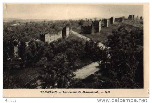 ALGERIE-TLEMCEM L'Enceinte de Mansourah.