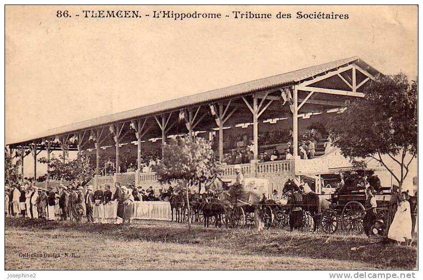 Tlemcen L'hippodrome Tribunes des Sociétaires