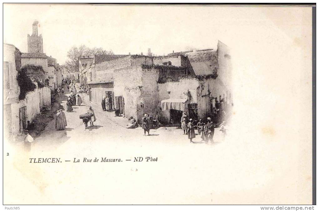 7235 PORT GRATUIT  TLEMCEN