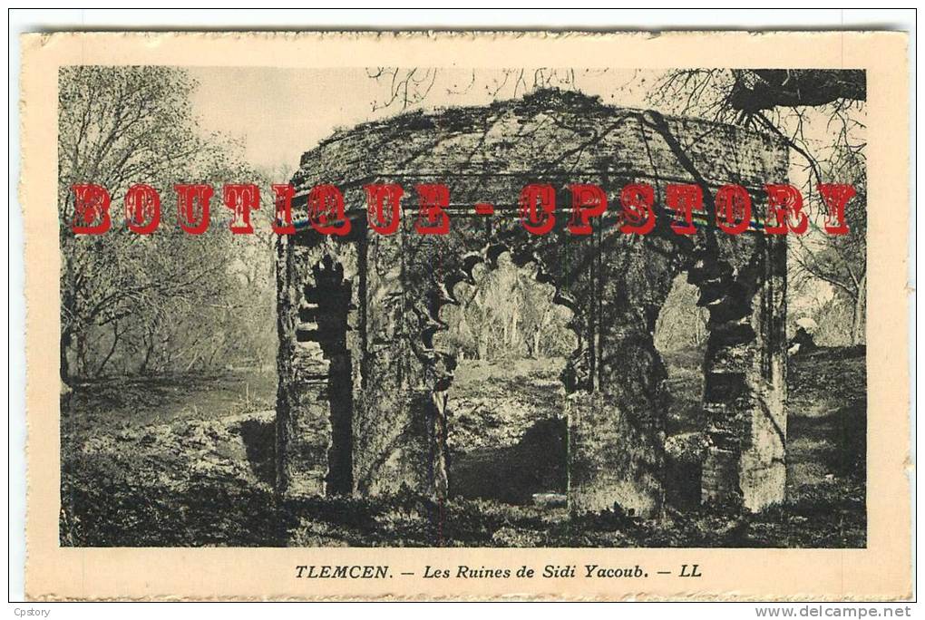 ALGERIE - TLEMCEN < Ruines de Sidi Yacoub - Dos Scanné