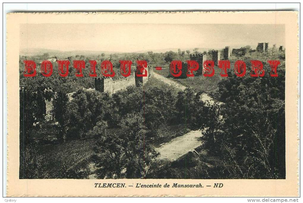 ALGERIE - TLEMCEN < Enceinte de Mansourah - Dos Scanné