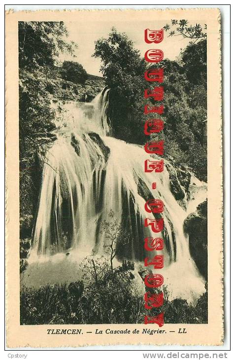 ALGERIE - TLEMCEN < Cascade de Négrier - Dos Scanné