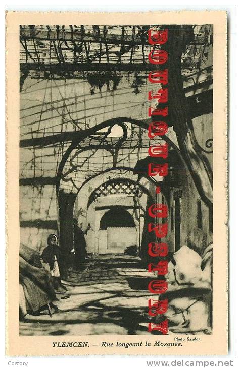 ALGERIE - TLEMCEN < Rue Longeant la Mosquée - Dos Scanné
