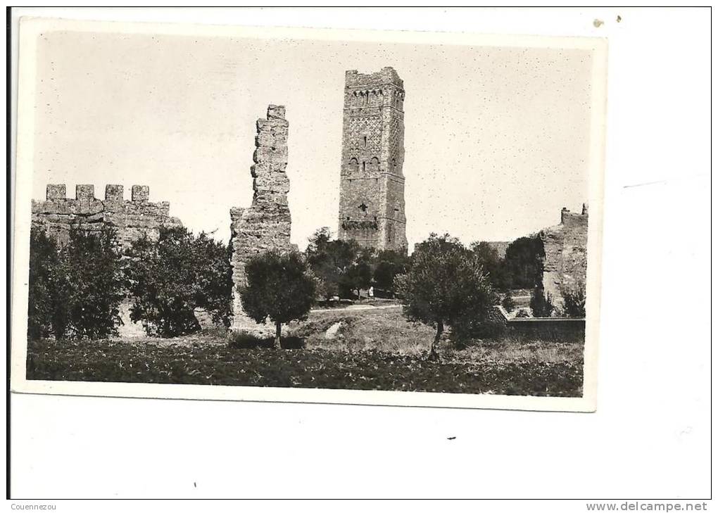 A 1143 TLEMCEN  MANSOURAH   LA TOUR ET LES RUINES
