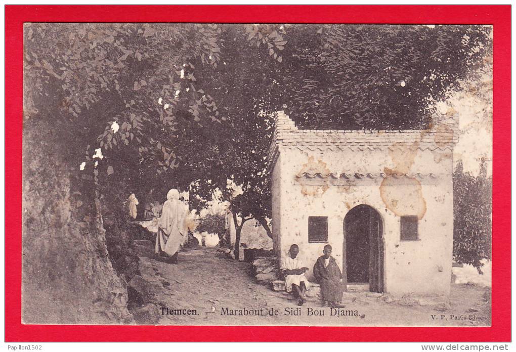 E-Algérie-139P62  TLEMCEN, marabout de Sidi Bou Djama, animation, cpa précurseur