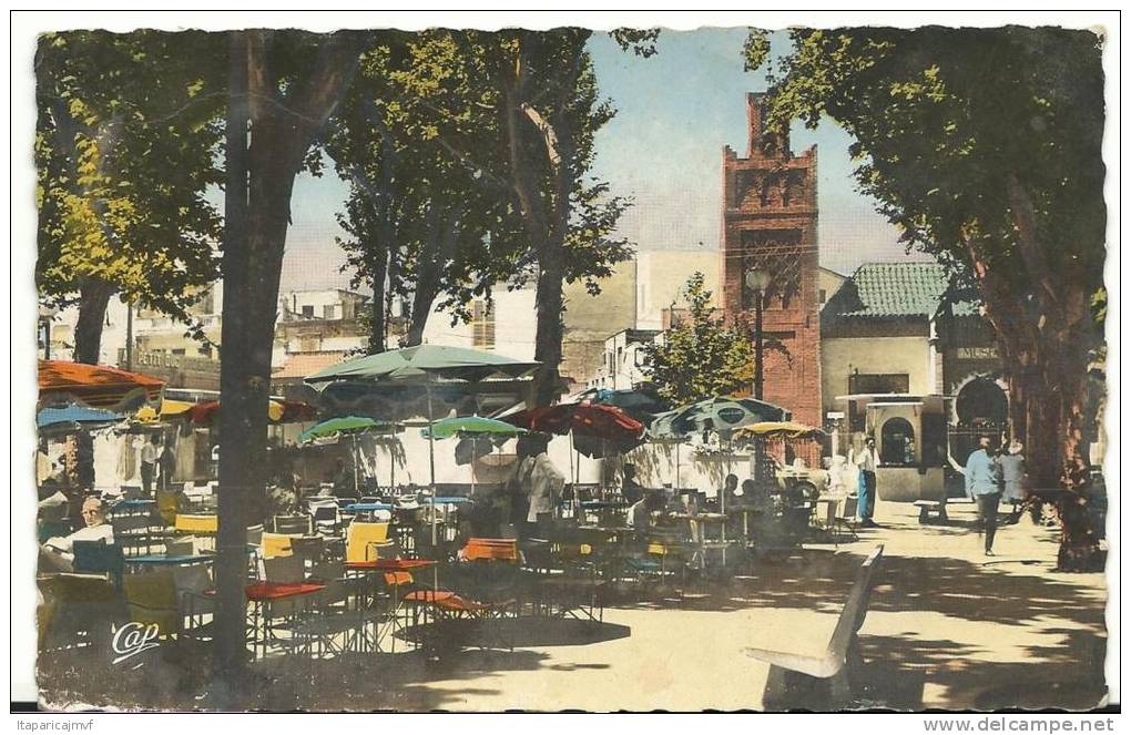 algérie   TLEMCEN  place d  'alger