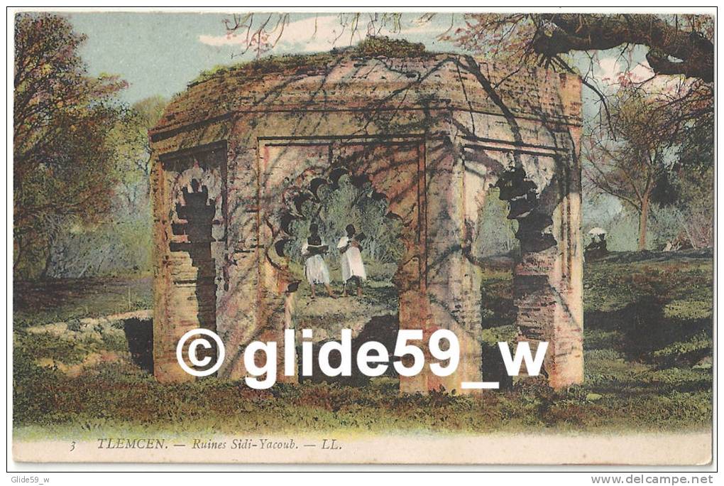 TLEMCEN - Ruines Sidi-Yacoub (animée) - n° 3