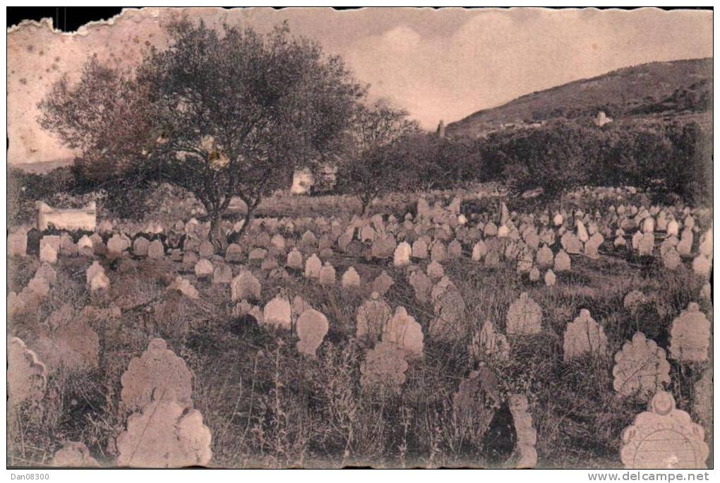 ALGERIE TLEMCEN CIMETIERE MUSULMAN PAS CIRCULEE