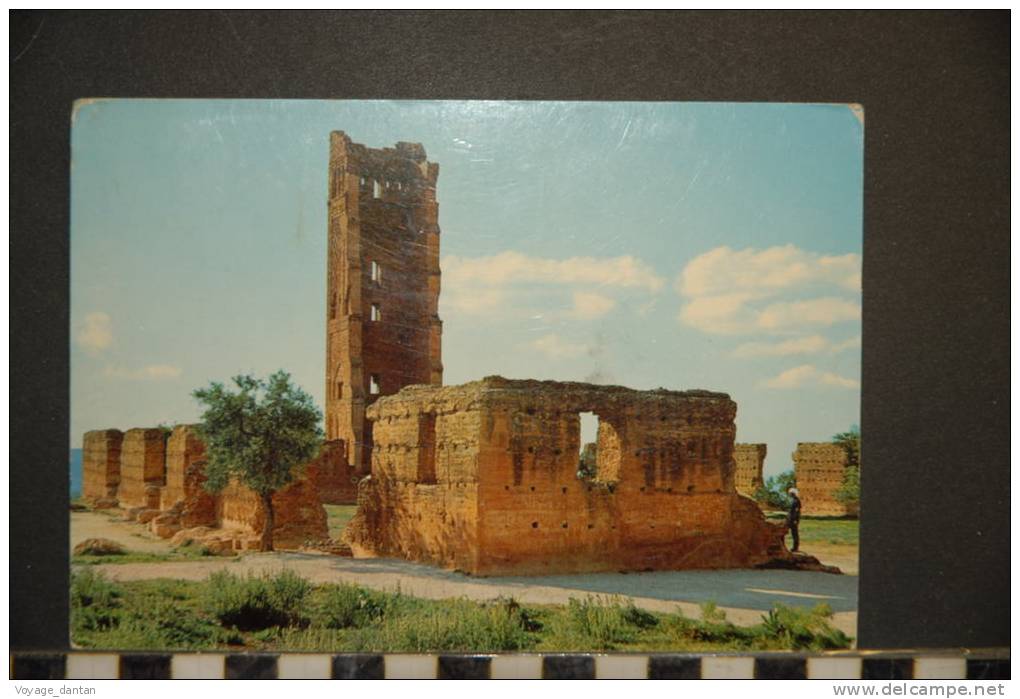 Algerie TLEMCEN   VESTIGES DE MANSOURAH -voyagée  1974