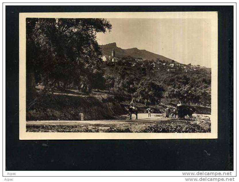 TLEMCEN Sidi Bou Medine Vue prise de la Route de Bel Abbes