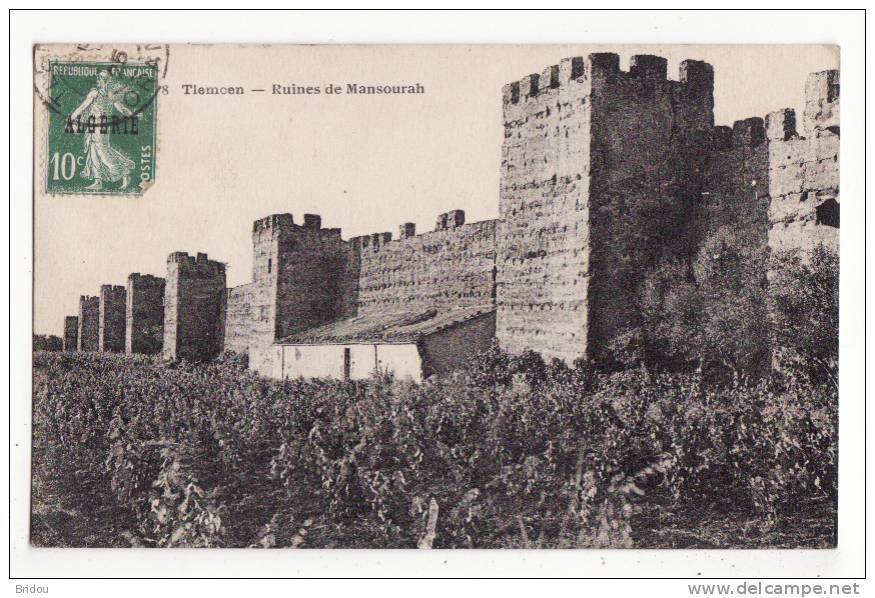 Algérie   TLEMCEN   Ruines de Mansourah