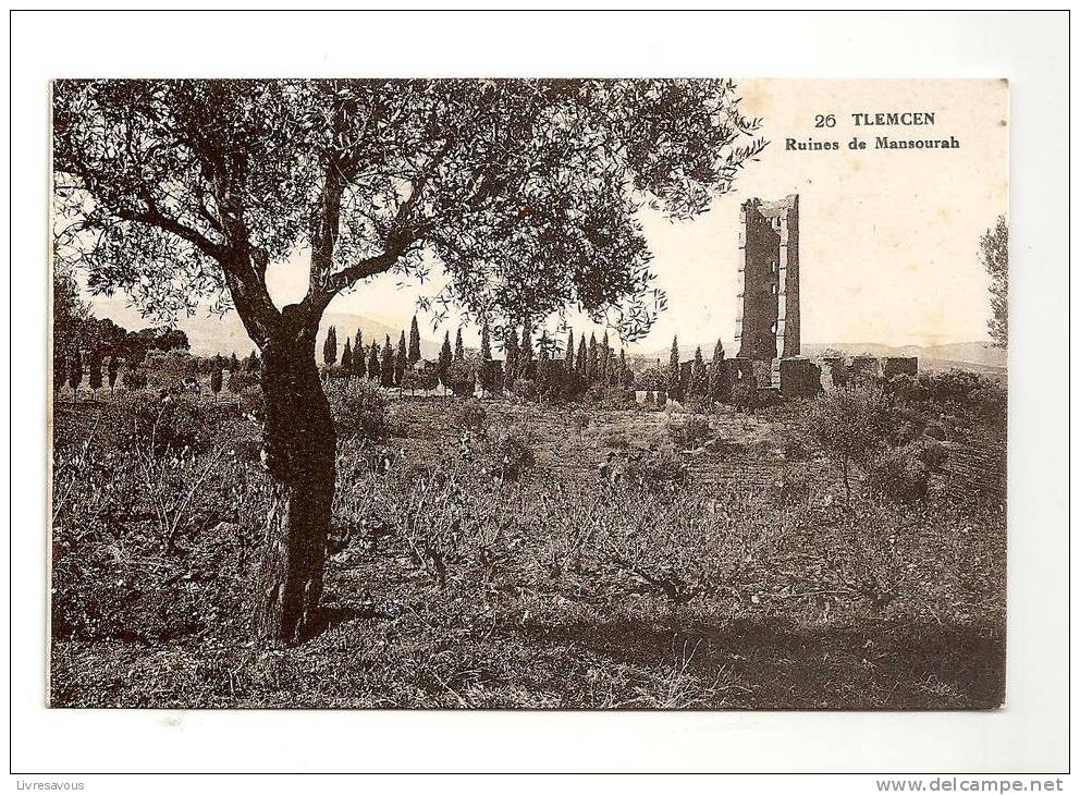 CPA Afrique Algerie Tlemcen Ruines de Mansourah