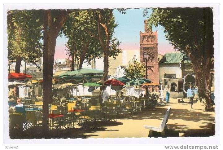 RP  TLEMCEN, Algeria, 20-40s , Place Mohamed Khemisti