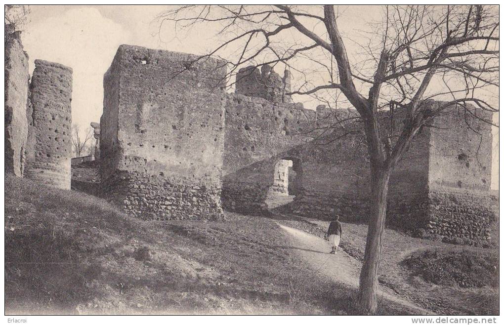 Carte postale Tlemcen algérie la toubiana animé circulé collection Desbonnet LL n° 48 TBE