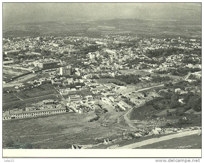 CARTE F. M . TLEMCEN