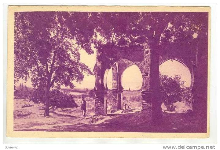 L'Algerie, Centenaire en 1930, TLEMCEN.-Tombeau sur la route de Sidi-Bou-Medine