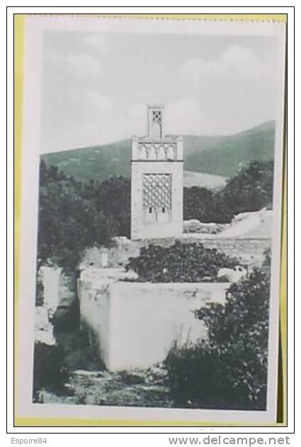C. Postale  ALGERIE - TLEMCEN - MOSQUEE DE SIDI-LAHSSEN