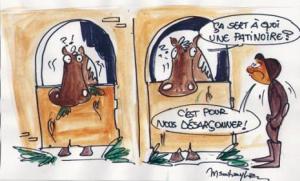 Annaba - Une patinoire au club hippique:  Les adhérents en colère