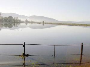 Journée mondiale de la biodiversité au lac Tonga à El Tarf:  Une célébration… et puis s’en vont!