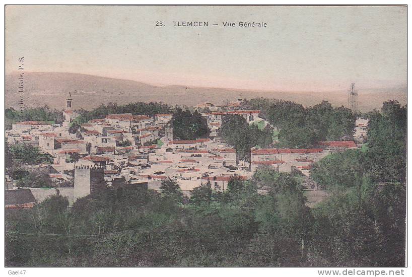 cpa  Réf-JP-Y714 ( Algérie )  Panorama sur TLEMCEN