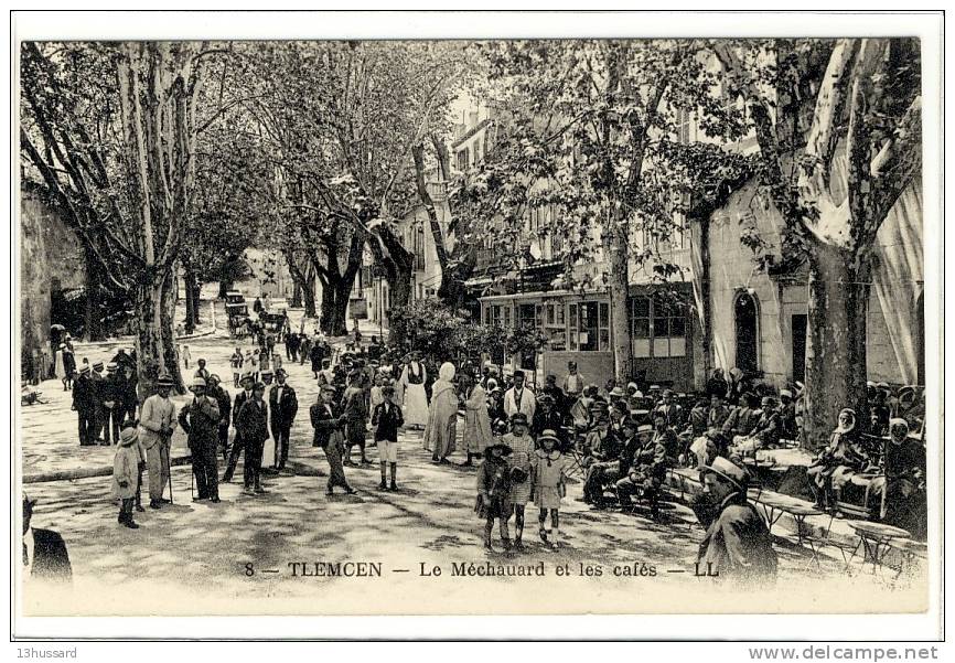 Carte Postale Ancienne Algérie - Tlemcen. Le Méchauard et les cafés