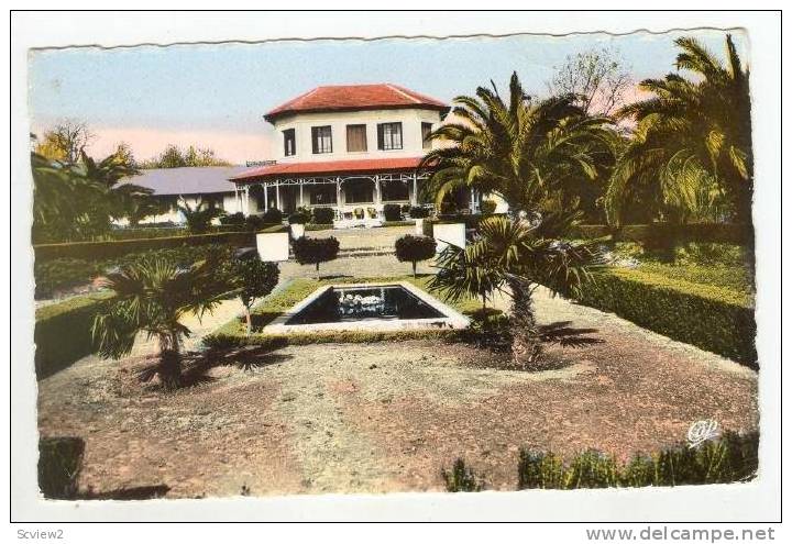 RP TLEMCEN - Jardin de l'Hotel Transatlantique, 20-40s Algeria