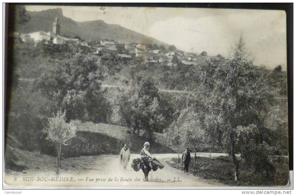 algerie tlemcen sidi bou medine vue prise de la route des cascades LL N° 8 animé ane voyagé 1912 timbre cachet
