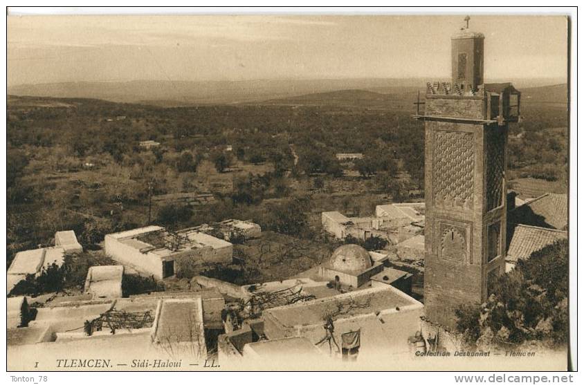 TLEMCEN  -  SIDI-HALOUI