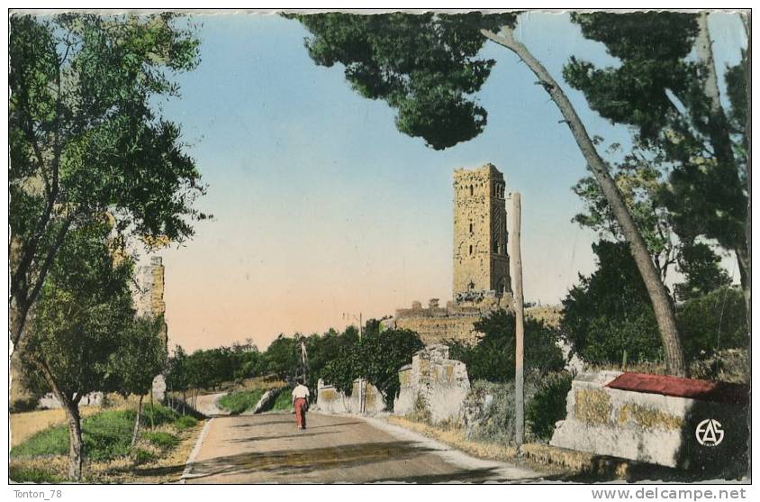 CPSM FORMAT CPA  -   TLEMCEN  -  LES RUINES DE MANSOURAH