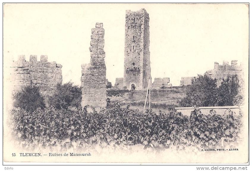 Tlemcen ruines du Mansourah neuve excellent état