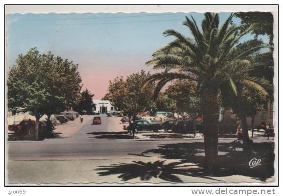 828   TLEMCEN   VUE VERS LA PREFECTURE