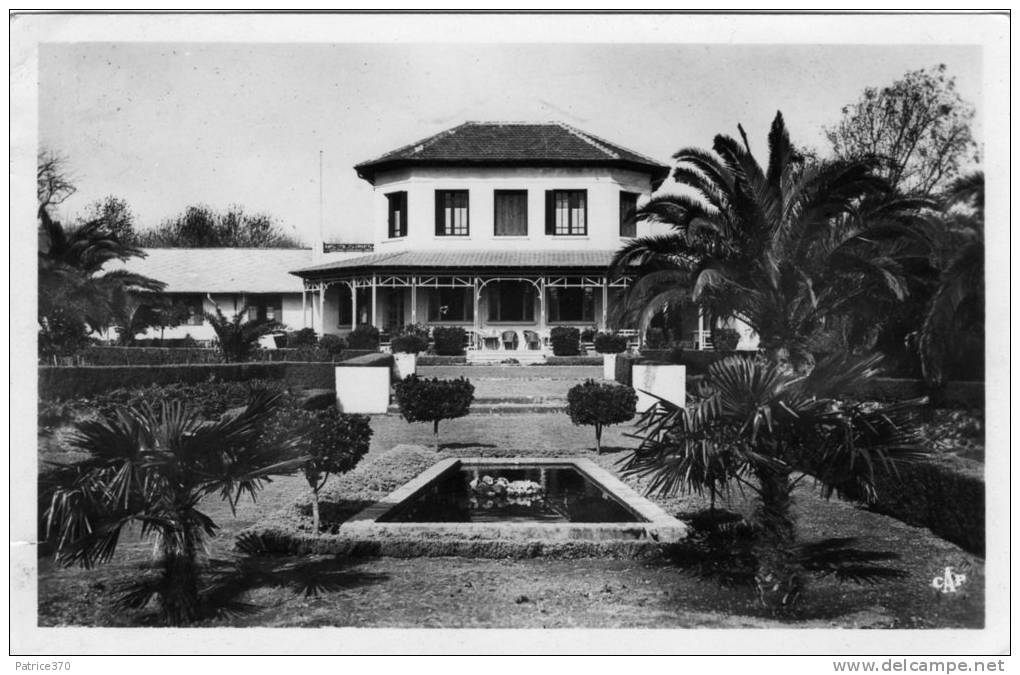 ALGERIE TLEMCEN - Jardin de l'Hôtel Transatlantique avec cachet de l'Hôtel au verso