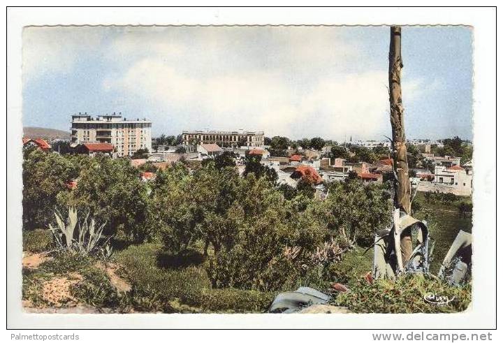 RP  Tlemcen , Algeria, 20-40s   Vue generale