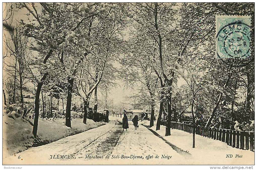ALGERIE   TLEMCEN   MARABOUT DE SIDI BOU DJEMA EFFET DE NEIGE   6