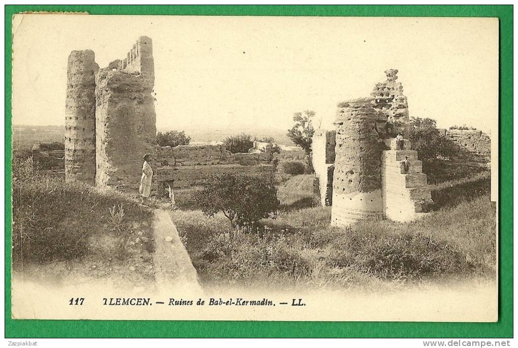 cpa  ALGERIE -   Tlemcen   ,  Ruines de Bab el Kermadin  - ....LMA8