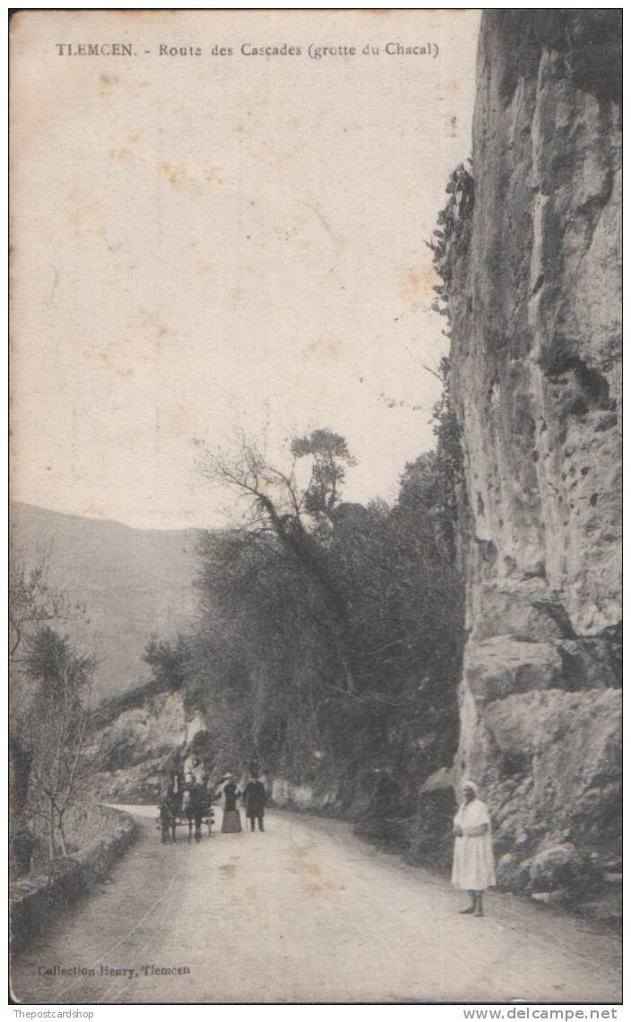 RELISTED  CPA Algérie - Tlemcen - ROUTE DES CASCADES (GROTTE DU CHACAL)  COLLECTION HENRY TLEMCEN UNUSED NORD AFRIQUE