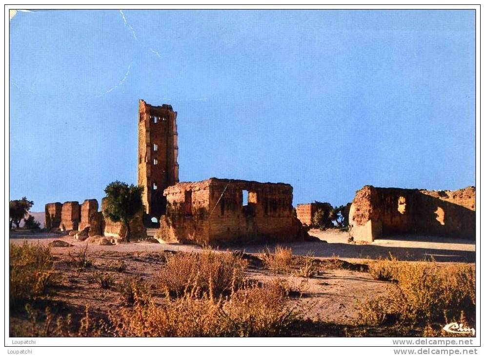 TLEMCEN LES RUINES DE MANSOURAH