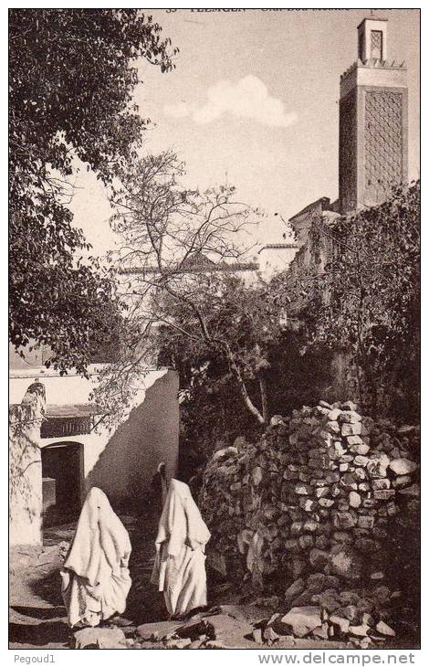 CARTE POSTALE ANCIENNE. AFRIQUE. ALGERIE. TLEMCEN. SIDI BOU MEDINE.