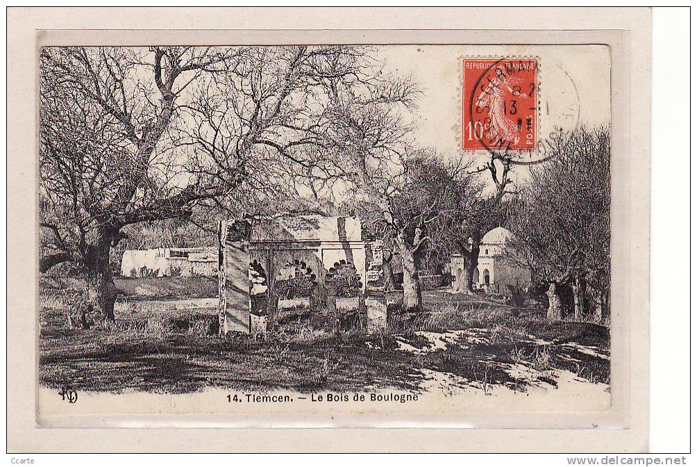 AFRIQUE / ALGERIE / TLEMCEN / Le Bois de Boulogne
